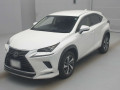 2019 Lexus NX