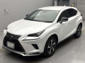 2020 Lexus NX