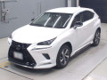 2019 Lexus NX