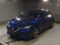 2020 Nissan Leaf
