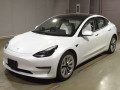 2022 Others MODEL 3