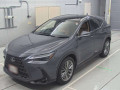 2023 Lexus NX
