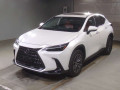 2022 Lexus NX