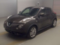 2013 Nissan JUKE