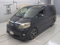 2007 Toyota Alphard V