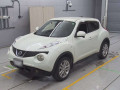 2011 Nissan JUKE