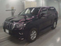 2019 Toyota Land Cruiser Prado