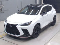 2025 Lexus NX