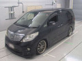 2010 Toyota Alphard
