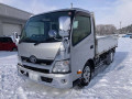 2019 Toyota Dyna Truck