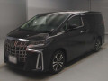 2021 Toyota Alphard