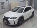 2019 Lexus UX