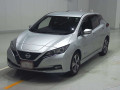 2020 Nissan Leaf