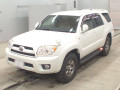 2009 Toyota Hilux Surf