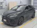 2021 Lexus NX
