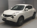 2010 Nissan JUKE