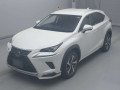 2019 Lexus NX