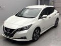 2020 Nissan Leaf