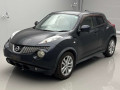 2011 Nissan JUKE