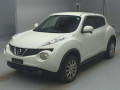 2011 Nissan JUKE