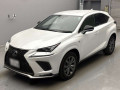 2019 Lexus NX