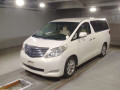 2010 Toyota Alphard