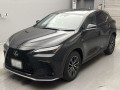2022 Lexus NX