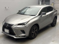 2021 Lexus NX