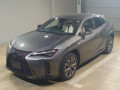 2019 Lexus UX