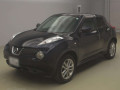 2011 Nissan JUKE