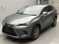 2020 Lexus NX