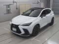 2024 Lexus NX