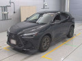 2023 Lexus NX