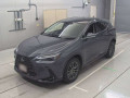 2022 Lexus NX