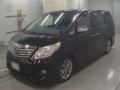 2010 Toyota Alphard
