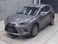 2019 Lexus NX