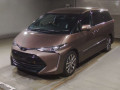 2019 Toyota Estima