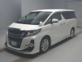 2017 Toyota Alphard