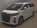 2020 Toyota Alphard