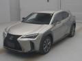 2019 Lexus UX