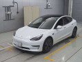 2021 Others MODEL 3