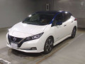 2019 Nissan Leaf