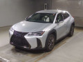 2021 Lexus UX