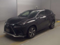 2021 Lexus NX