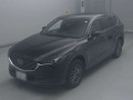 2019 Mazda CX-8