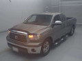 2010 Others Tundra