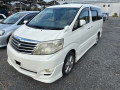 2007 Toyota Alphard G