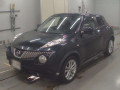 2011 Nissan JUKE