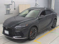 2024 Lexus RX
