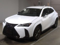 2021 Lexus UX